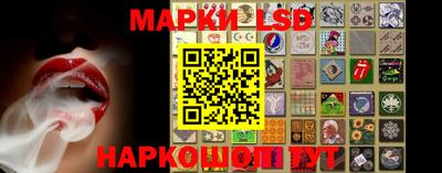 jwh Бийск