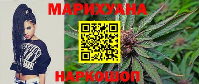 jwh Бийск