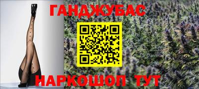 jwh Бийск
