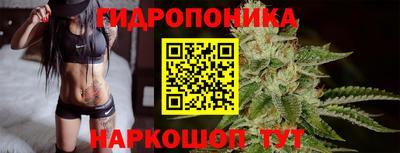 jwh Бийск