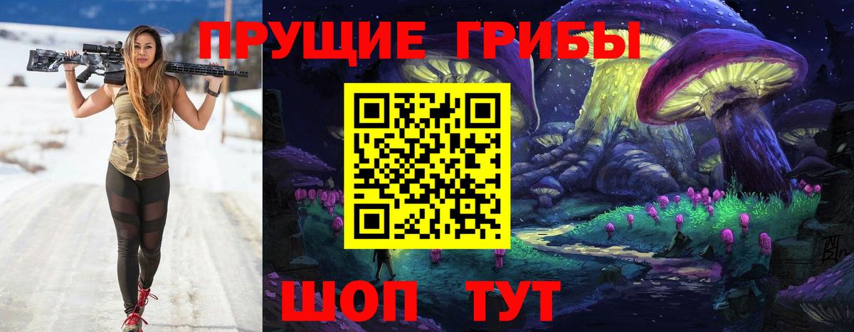 Псилоцибиновые грибы мицелий  Вход с VPN  Избербаш 